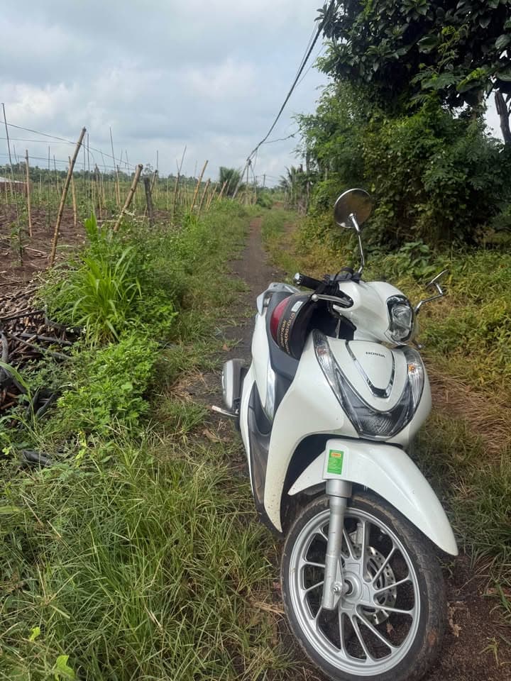 Bán đất Đ. Lâm Trường Thuần Mẫn - Thôn 3, H. Ea H'leo, T. Đắk Lắk - Ảnh 2