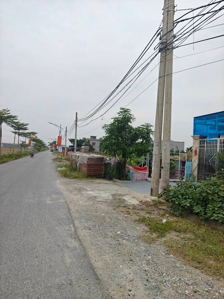 Bán đất H. Bình Lục, T. Hà Nam - Ảnh 2