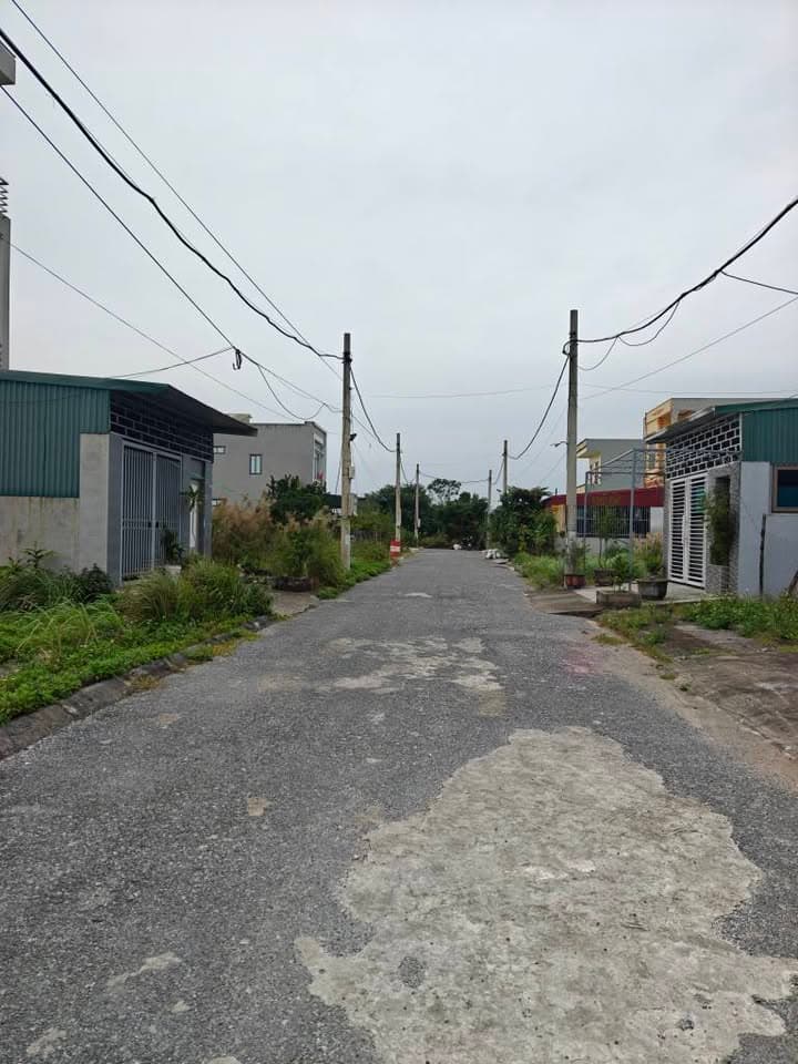 Bán đất H. Bình Lục, T. Hà Nam - Ảnh 3