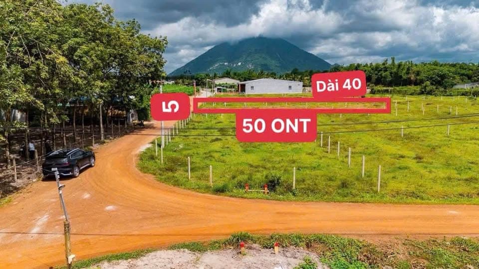 Bán đất X. Suối Đá, H. Dương Minh Châu, T. Tây Ninh