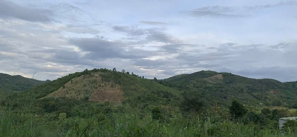 Bán đất H. Krông A Na, T. Đắk Lắk - Ảnh 3