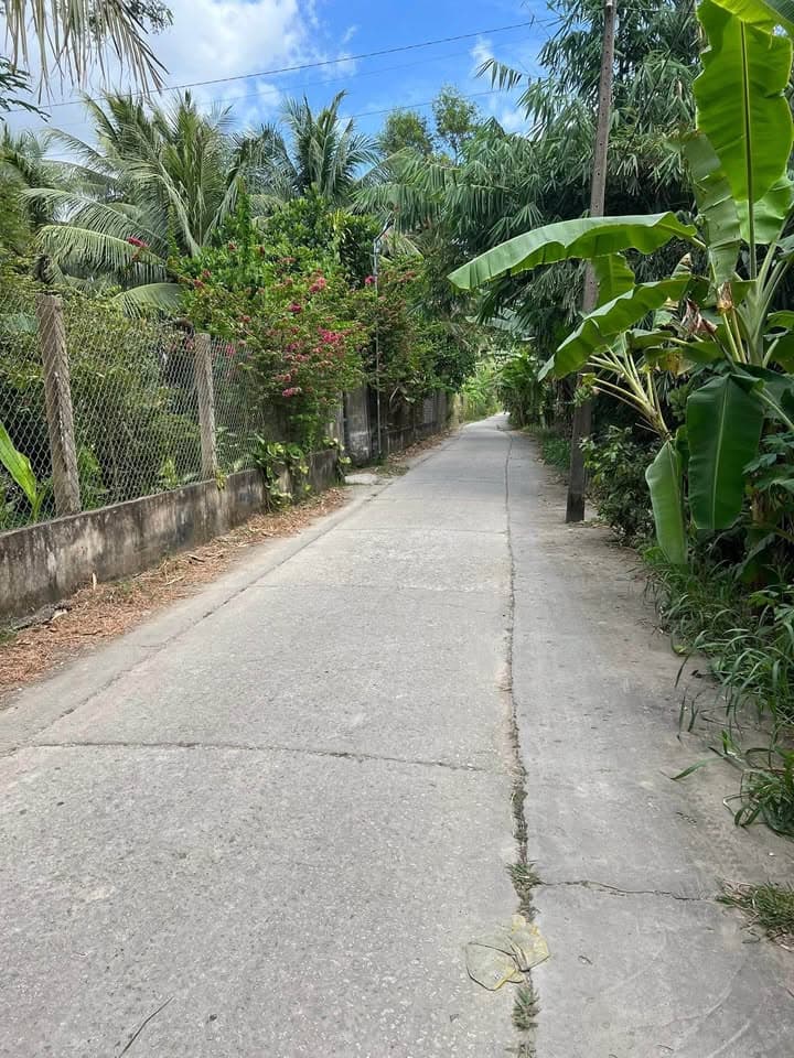 Bán đất P. 8, Tp. Trà Vinh, T. Trà Vinh - Ảnh 2