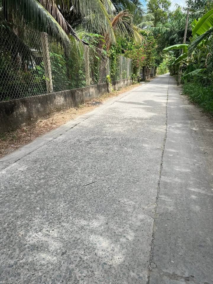 Bán đất P. 8, Tp. Trà Vinh, T. Trà Vinh - Ảnh 3