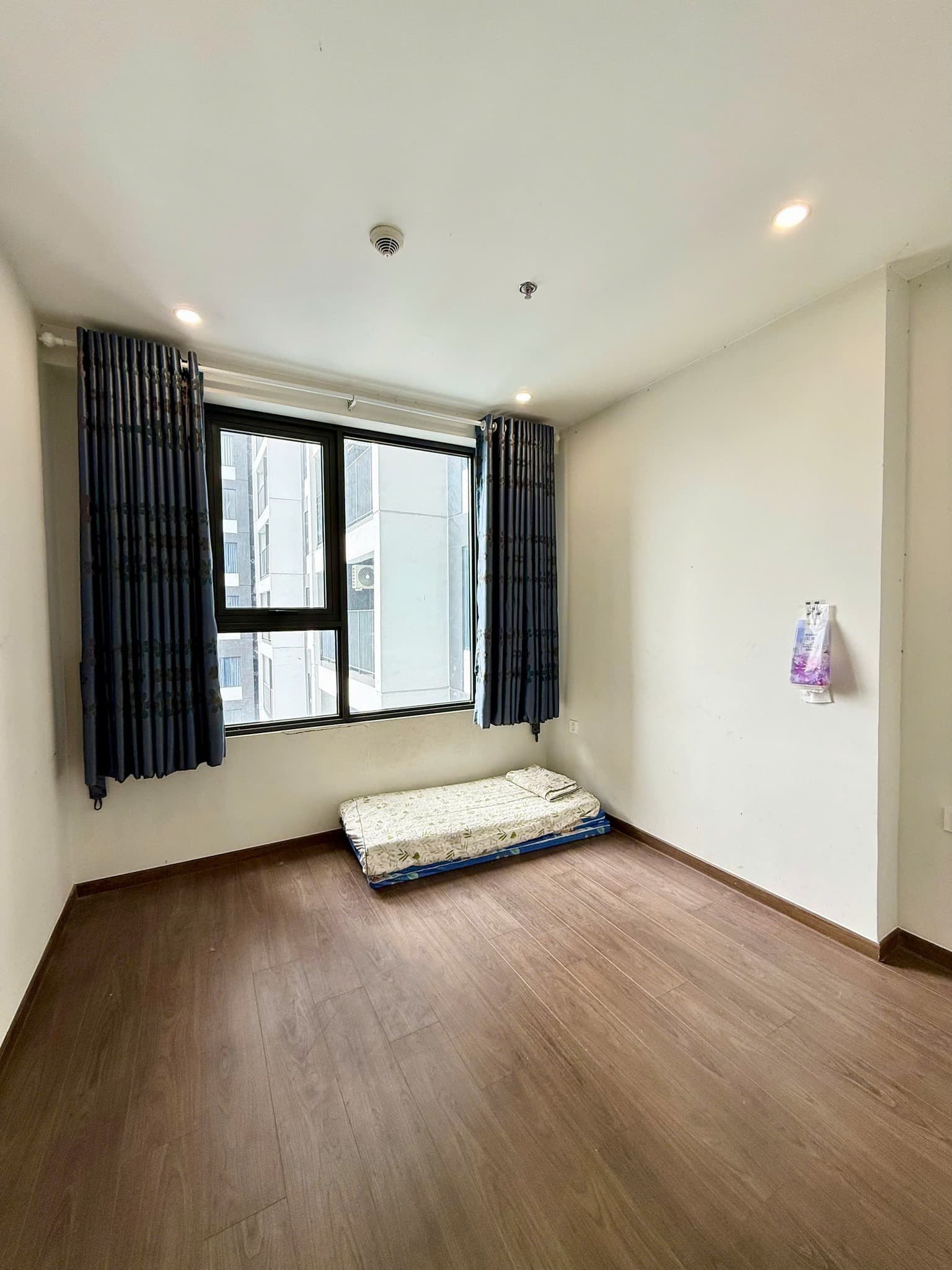 Cho thuê căn hộ chung cư The Emerald Golf View, P. Lái Thiêu, Tp. Thuận An, T. Bình Dương - Ảnh 3