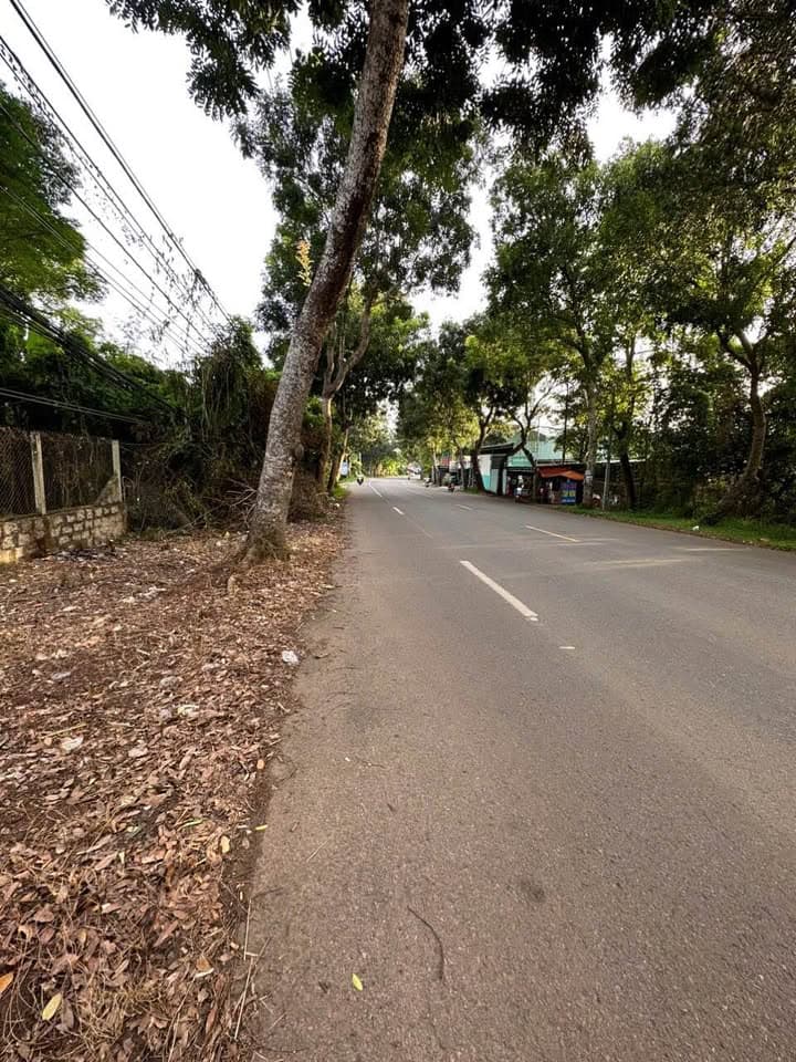 Cho thuê đất Đ. Quốc lộ 56, X. Hoà Long, Tp. Bà Rịa, T. Bà Rịa - Vũng Tàu - Ảnh 2