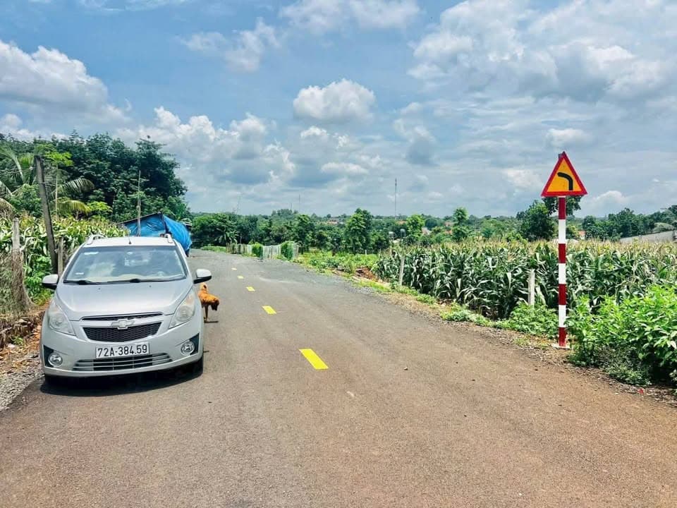 Bán đất X. Bàu Lâm, H. Xuyên Mộc, T. Bà Rịa - Vũng Tàu - Ảnh 2