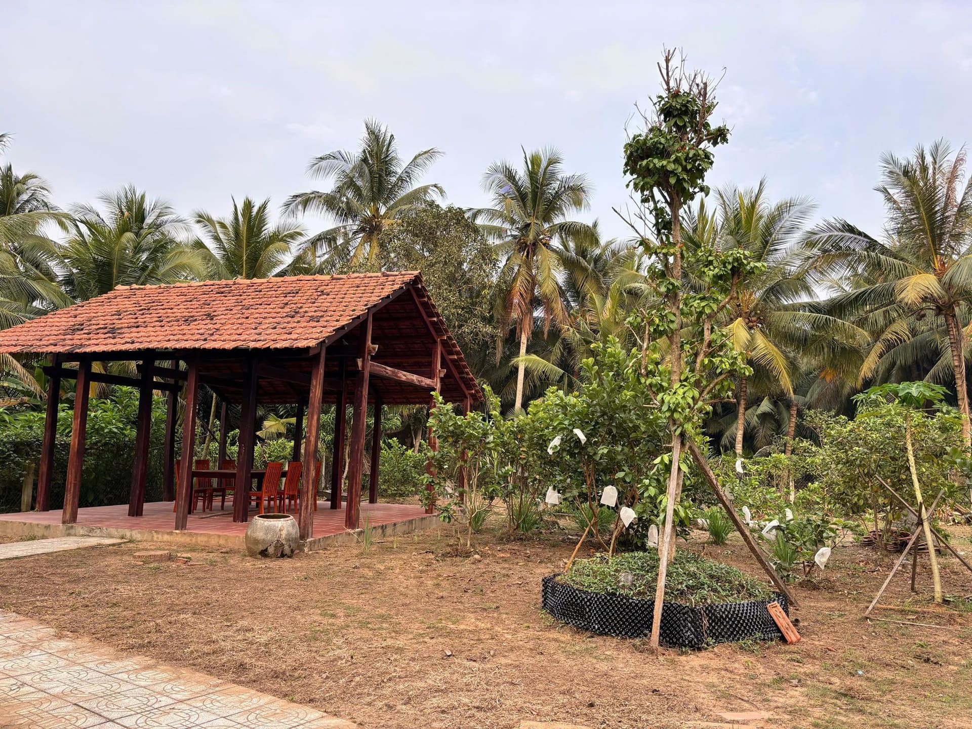 Bán nhà riêng Tp. Bến Tre, T. Bến Tre - Ảnh 2