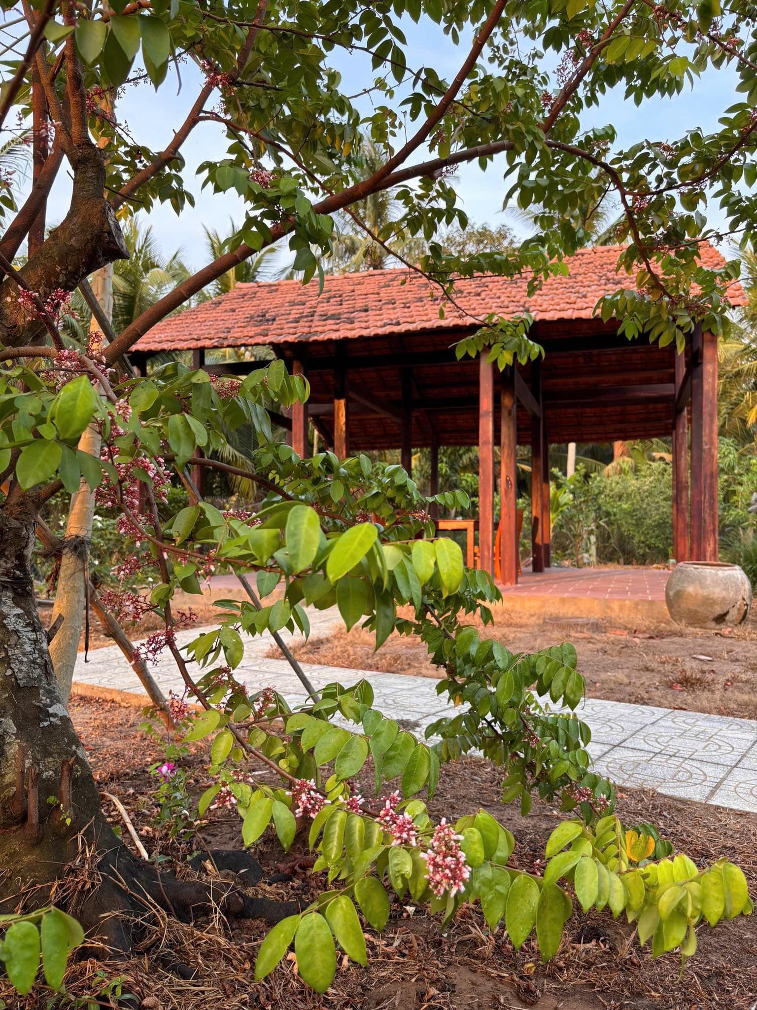 Bán nhà riêng Tp. Bến Tre, T. Bến Tre - Ảnh 3