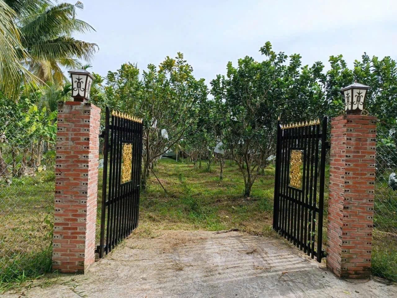 Bán nhà riêng X. Tân Thạch, H. Châu Thành, T. Bến Tre - Ảnh 2