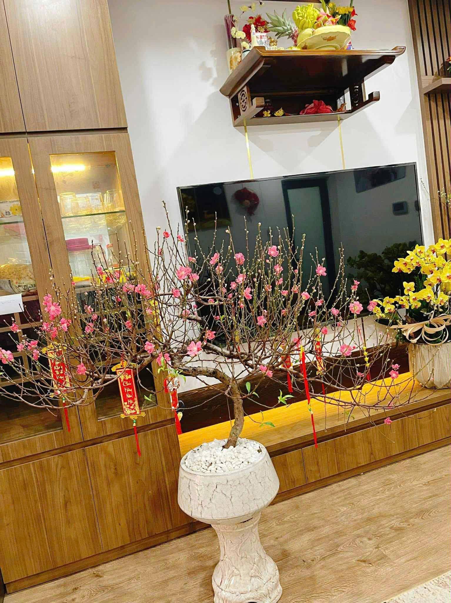 Bán căn hộ chung cư Đ. Lê Mao, Tp. Vinh, T. Nghệ An