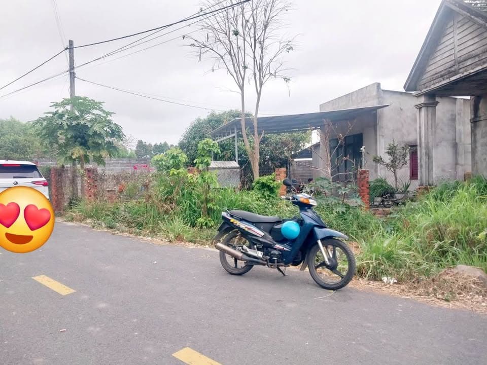 Bán đất X. Phước Hội, H. Đất Đỏ, T. Bà Rịa - Vũng Tàu - Ảnh 2