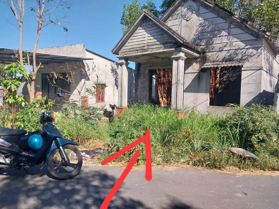 Bán đất X. Phước Hội, H. Đất Đỏ, T. Bà Rịa - Vũng Tàu - Ảnh 3