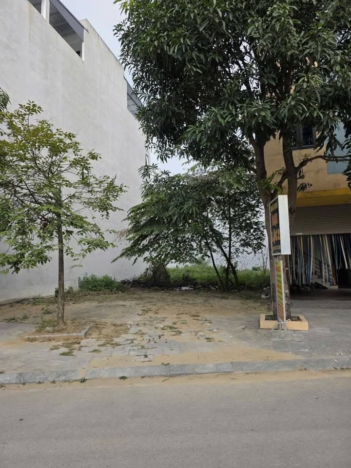 Bán đất H. Đông Hải, T. Bạc Liêu - Ảnh 2