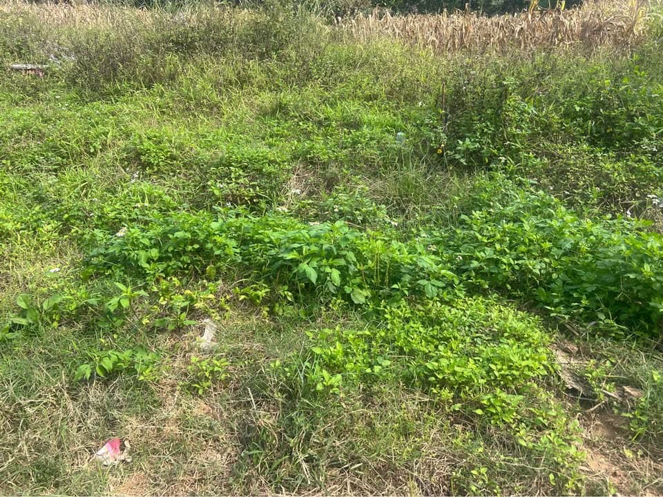 Bán đất P. Hợp Giang, Tp. Cao Bằng, T. Cao Bằng - Ảnh 2