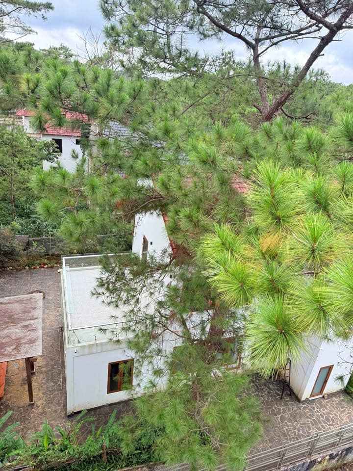 Bán biệt thự liền kề P. Nguyễn Trãi, Tp. Kon Tum, T. Kon Tum