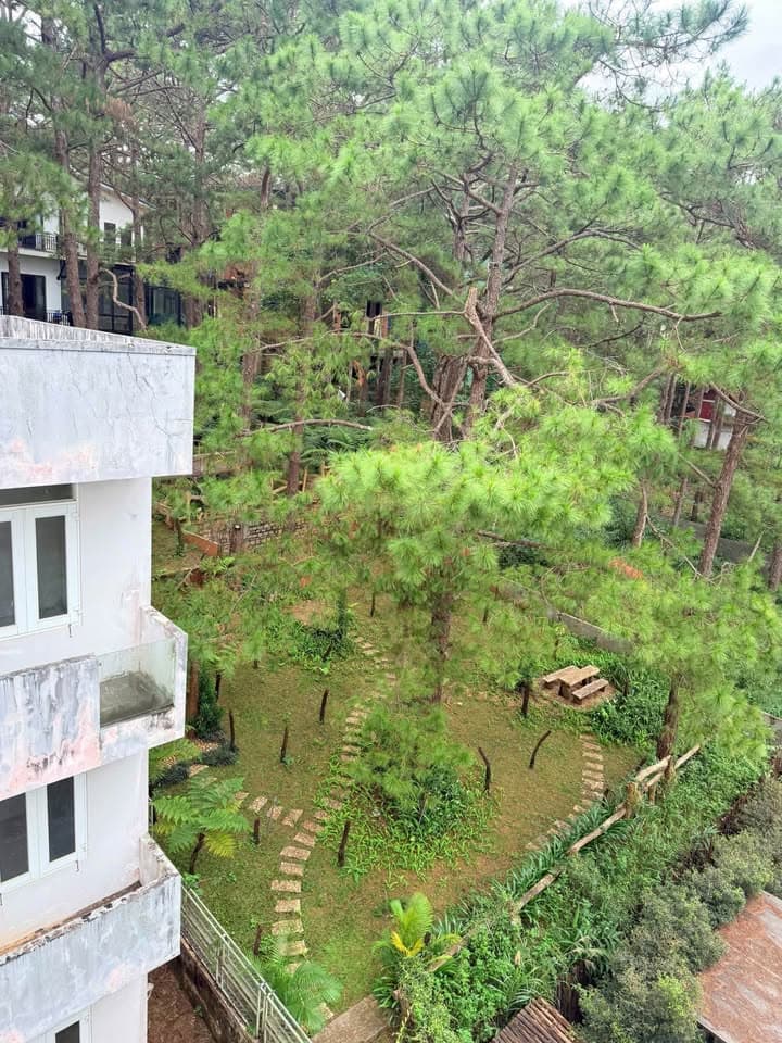 Bán biệt thự liền kề P. Nguyễn Trãi, Tp. Kon Tum, T. Kon Tum - Ảnh 2