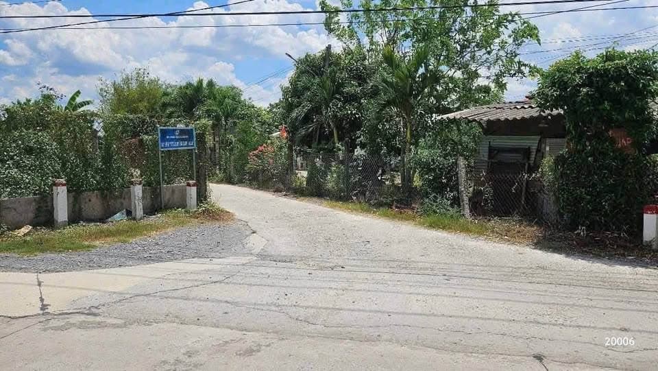 Bán đất X. Vĩnh Công, H. Châu Thành, T. Long An - Ảnh 3