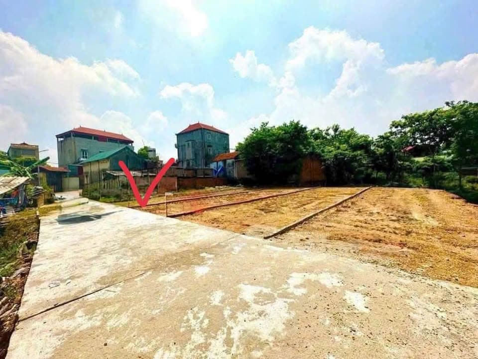 Bán đất Tt. Gia Khánh, H. Bình Xuyên, T. Vĩnh Phúc