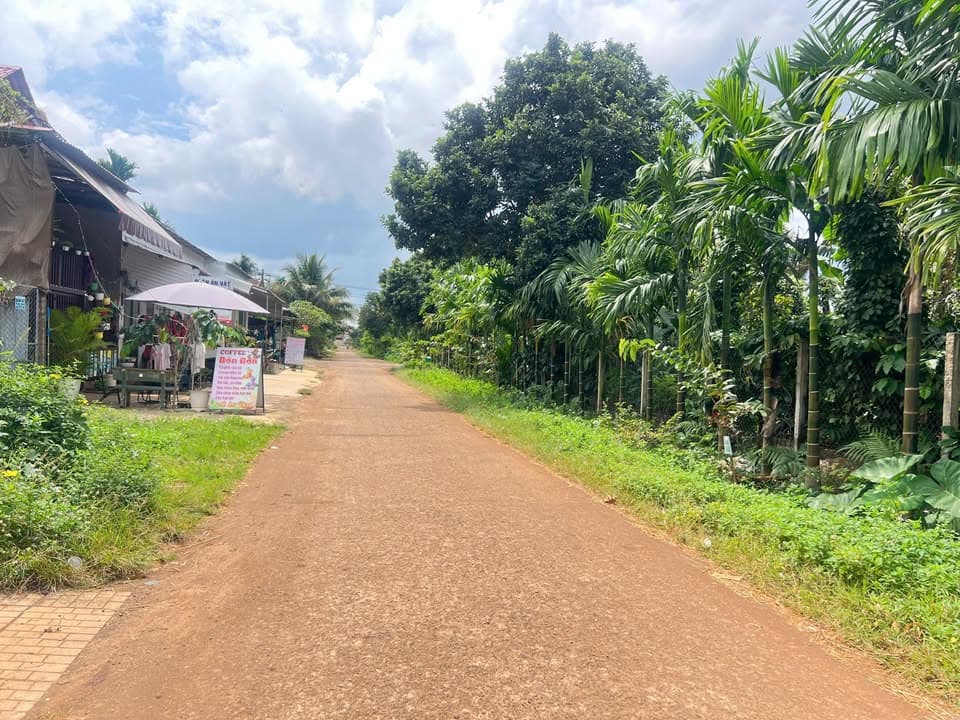 Bán đất P. Tân An, Tp. Buôn Ma Thuột, T. Đắk Lắk