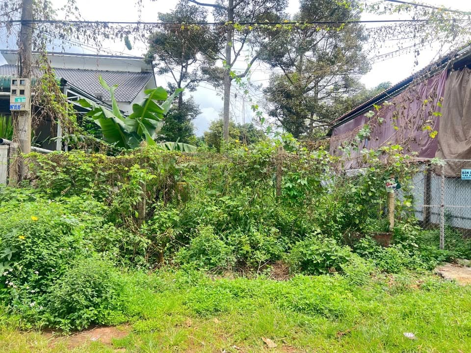 Bán đất P. Tân An, Tp. Buôn Ma Thuột, T. Đắk Lắk - Ảnh 2