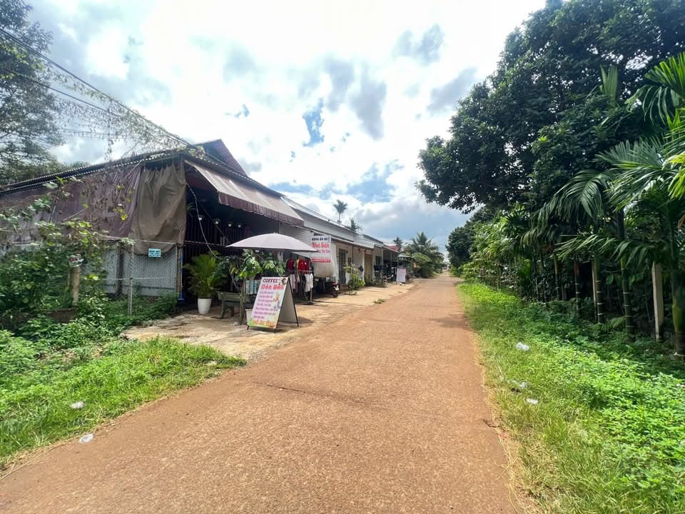 Bán đất P. Tân An, Tp. Buôn Ma Thuột, T. Đắk Lắk - Ảnh 3