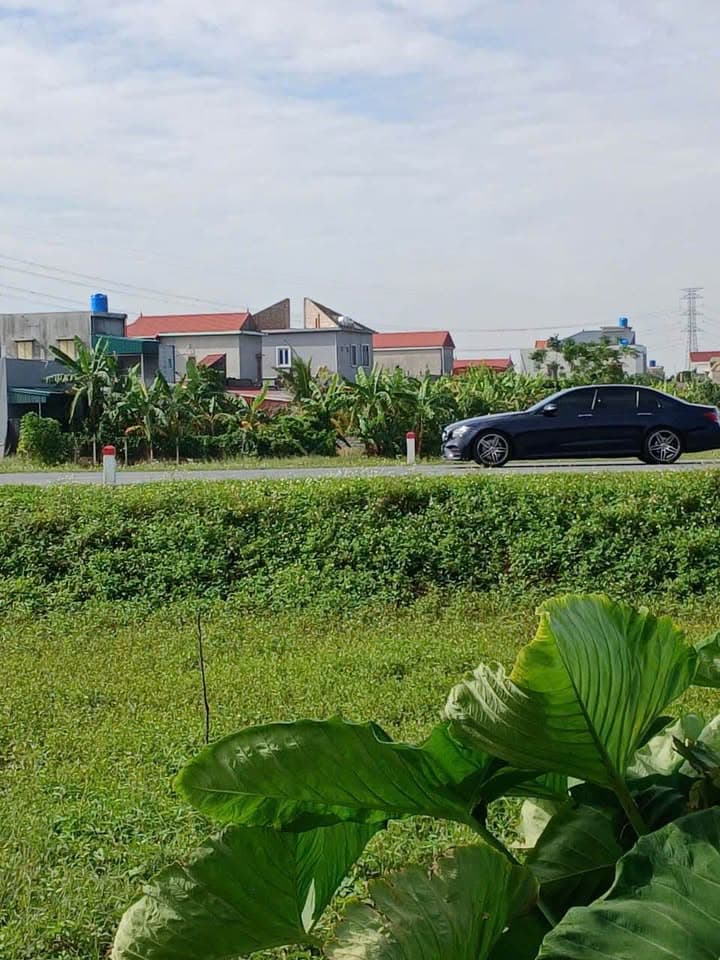 Bán đất X. Dương Hồng Thủy, H. Thái Thụy, T. Thái Bình - Ảnh 2