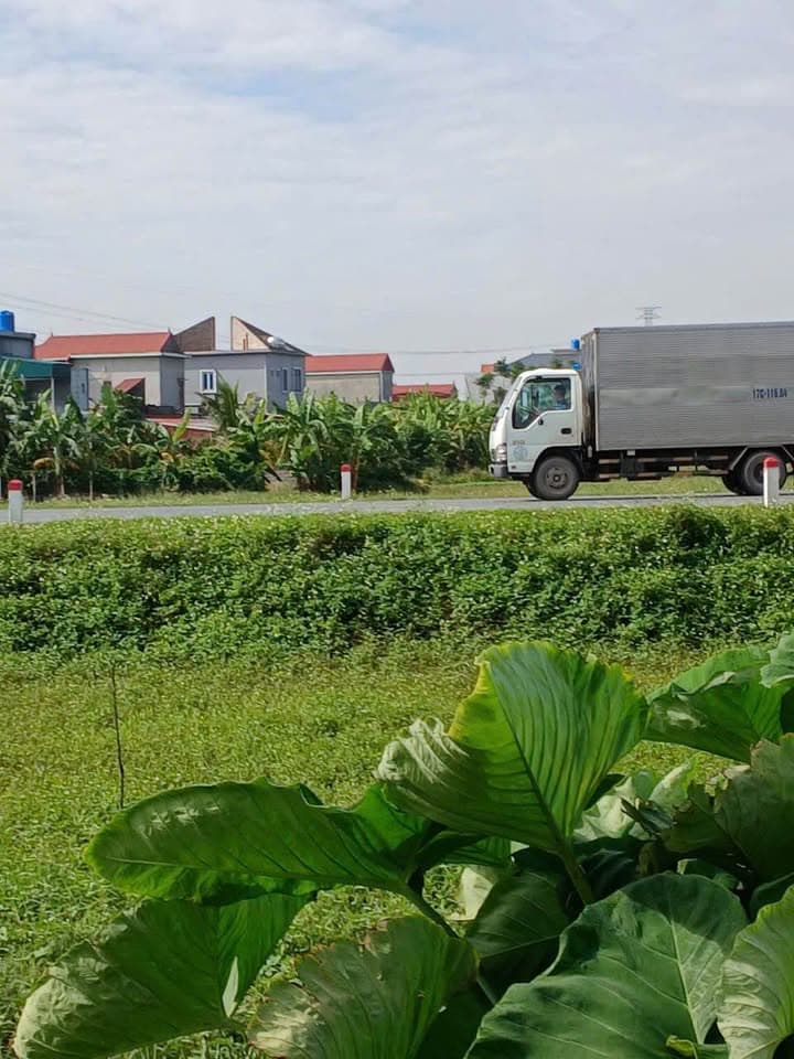 Bán đất X. Dương Hồng Thủy, H. Thái Thụy, T. Thái Bình - Ảnh 3