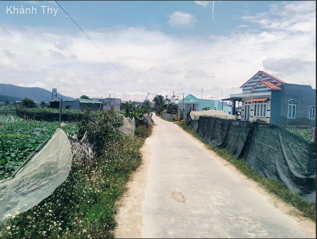 Bán đất X. Quảng Lập, H. Đơn Dương, T. Lâm Đồng - Ảnh 2