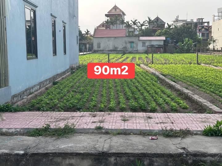 Bán đất Tt. Quất Lâm, H. Giao Thủy, T. Nam Định