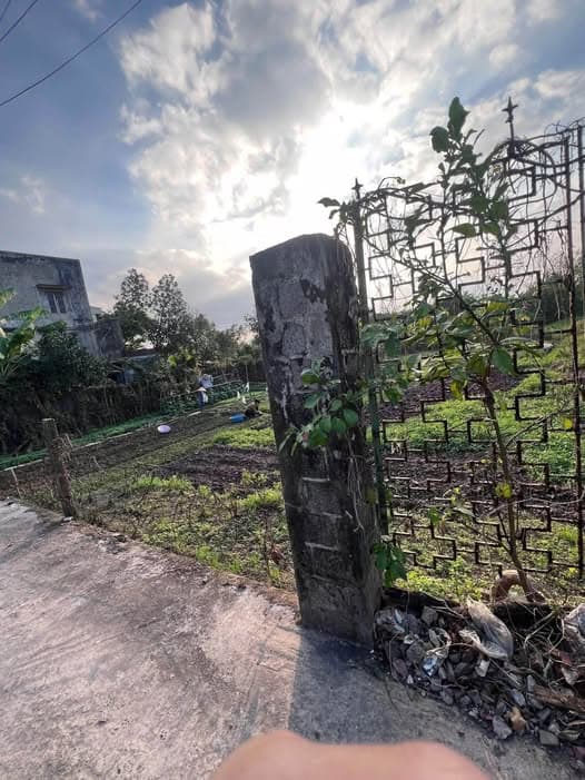 Bán đất Đ. Lương Thế Vinh, P. Lộc Vượng, Tp. Nam Định, T. Nam Định - Ảnh 3