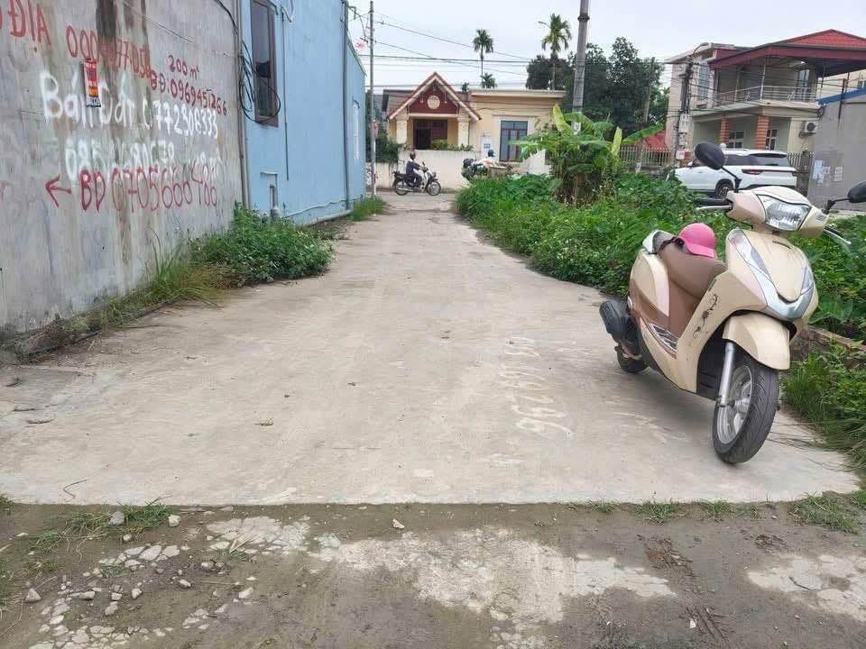 Bán đất P. Tiểu Trà, P. Hưng Đạo, Q. Dương Kinh, Tp. Hải Phòng - Ảnh 3