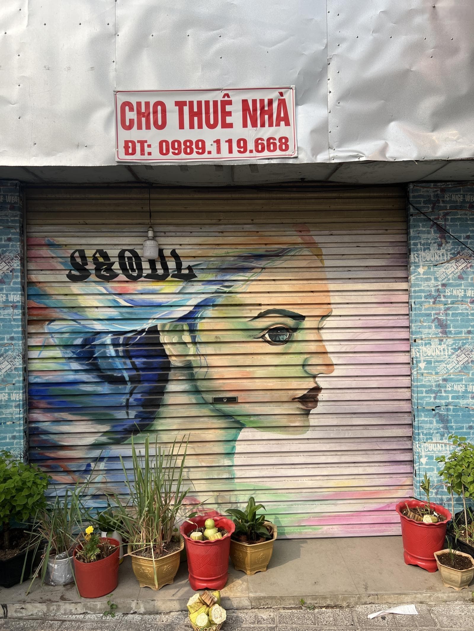 Cho thuê nhà riêng P. Mỹ Long, Tp. Long Xuyên, T. An Giang - Ảnh 3