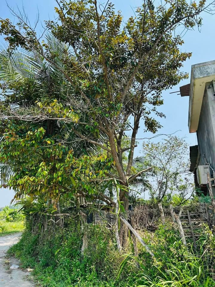 Bán nhà riêng Đ. Mỹ Trà Mỹ Khê, Tp. Quảng Ngãi, T. Quảng Ngãi