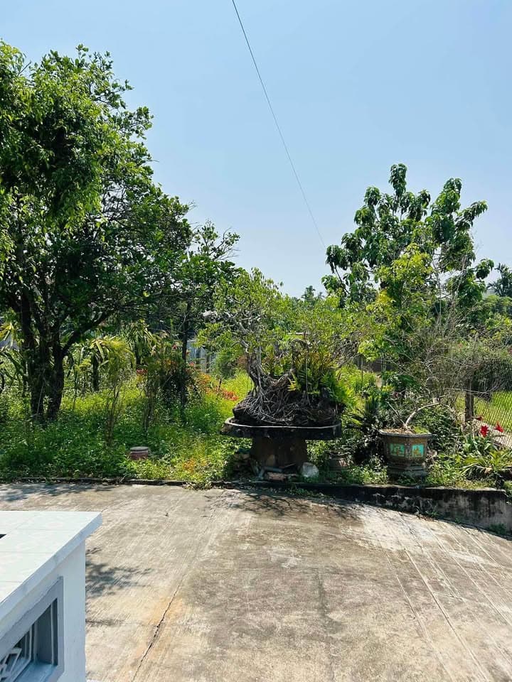 Bán nhà riêng Đ. Mỹ Trà Mỹ Khê, Tp. Quảng Ngãi, T. Quảng Ngãi - Ảnh 2