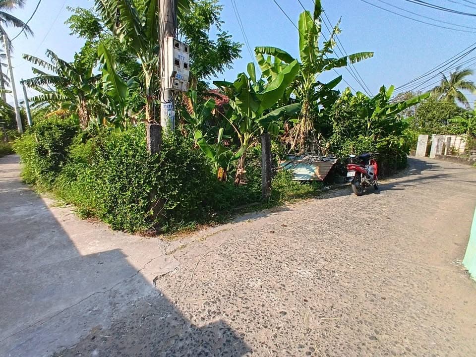 Bán đất Tp. Tuy Hòa, T. Phú Yên - Ảnh 2