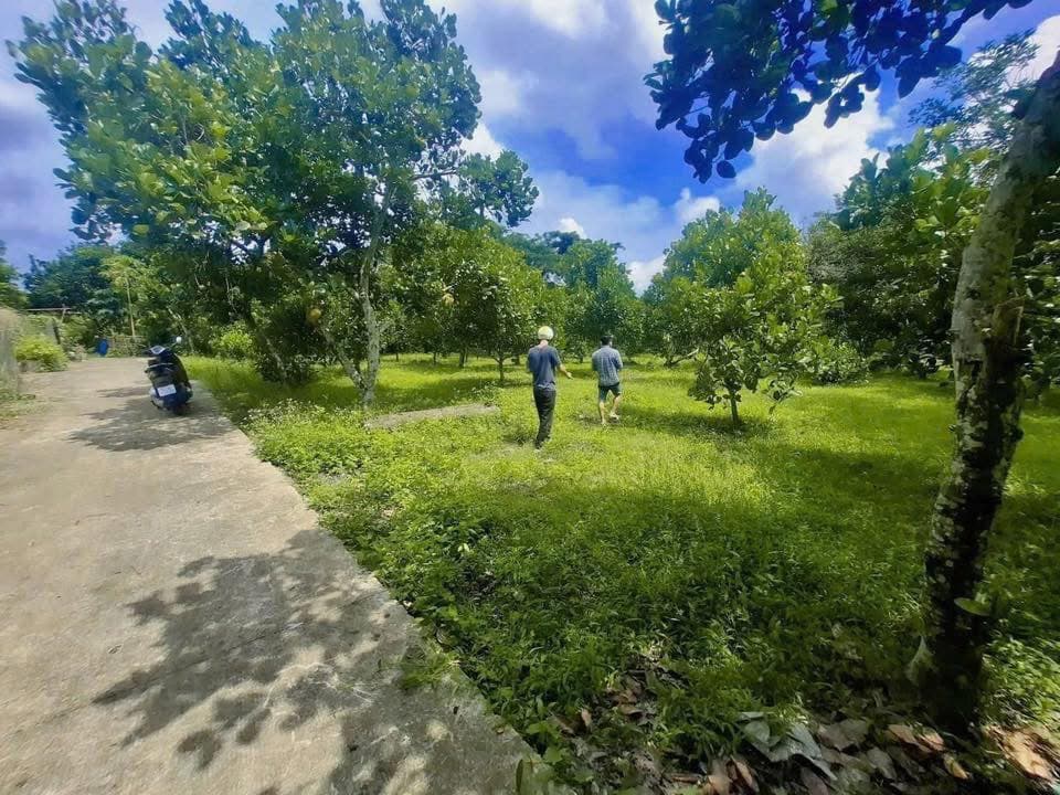 Bán đất Đ. Bầu Trâm, Tp. Long Khánh, T. Đồng Nai - Ảnh 3