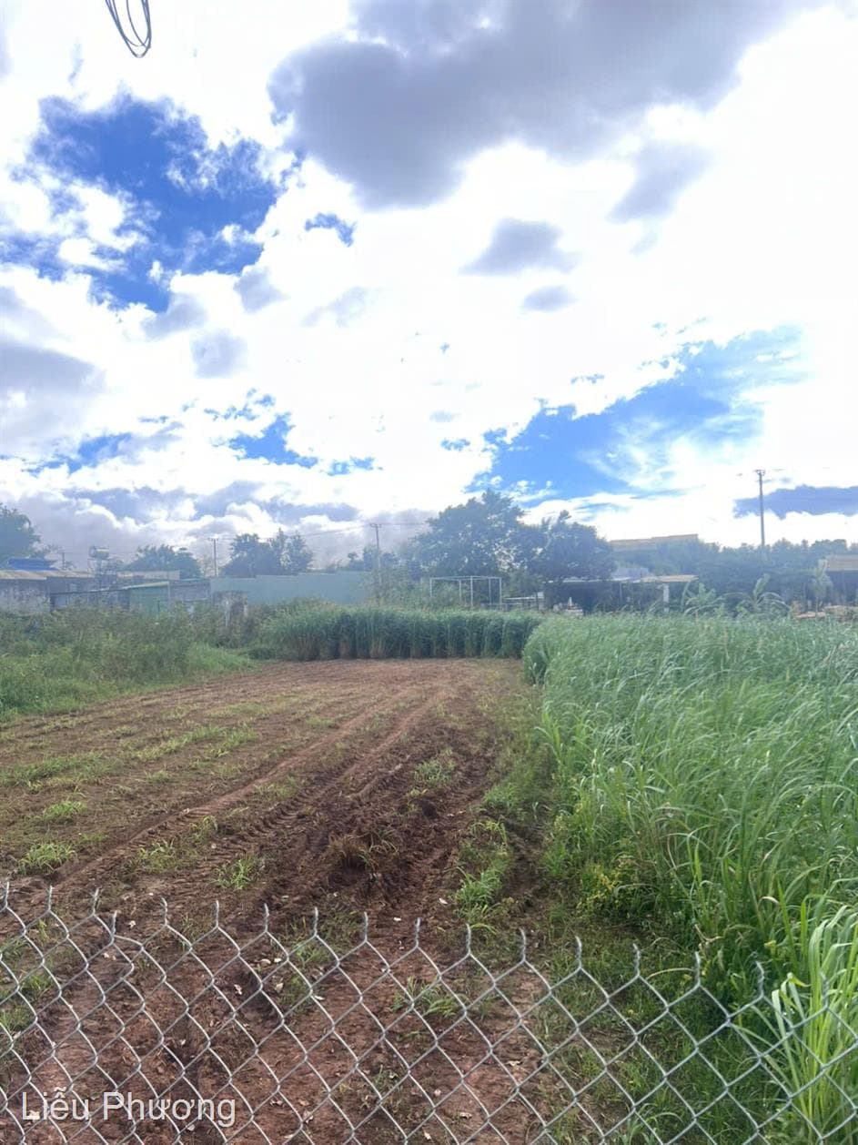 Bán đất X. Quảng Lập, H. Đơn Dương, T. Lâm Đồng - Ảnh 2