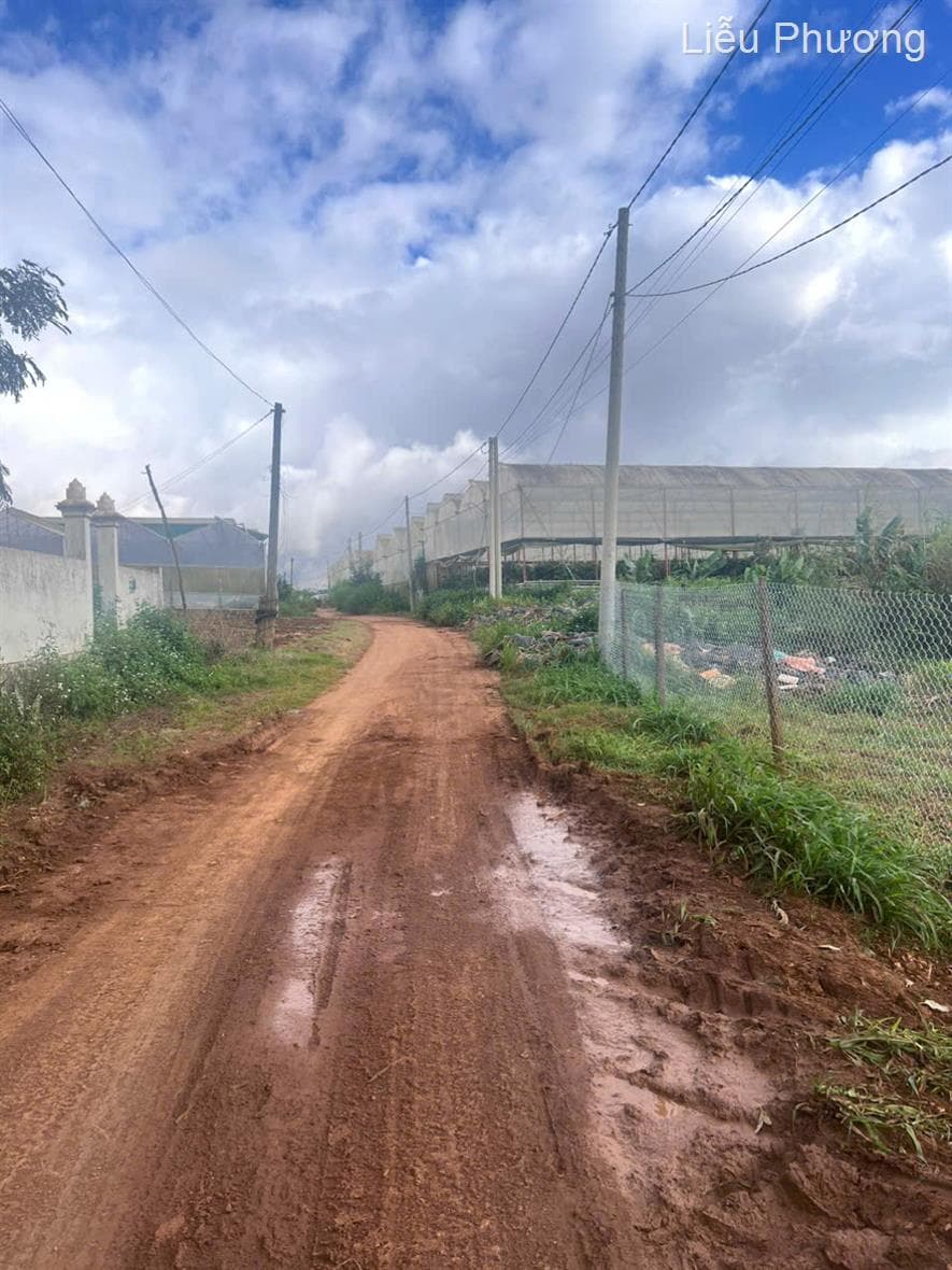 Bán đất X. Quảng Lập, H. Đơn Dương, T. Lâm Đồng - Ảnh 3
