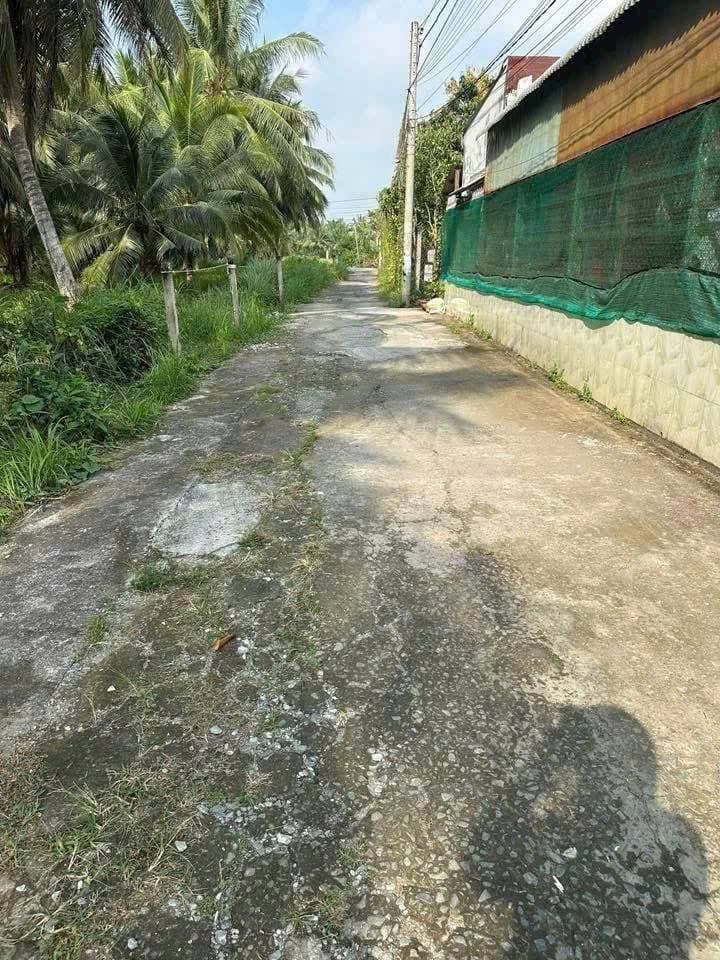 Bán nhà riêng P. Phú Tân, Tp. Bến Tre, T. Bến Tre - Ảnh 2