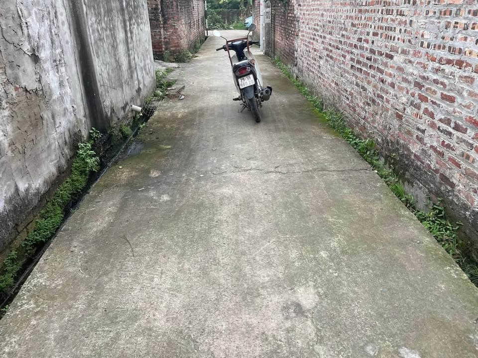 Bán đất X. Hiền Ninh, H. Sóc Sơn, Tp. Hà Nội - Ảnh 3