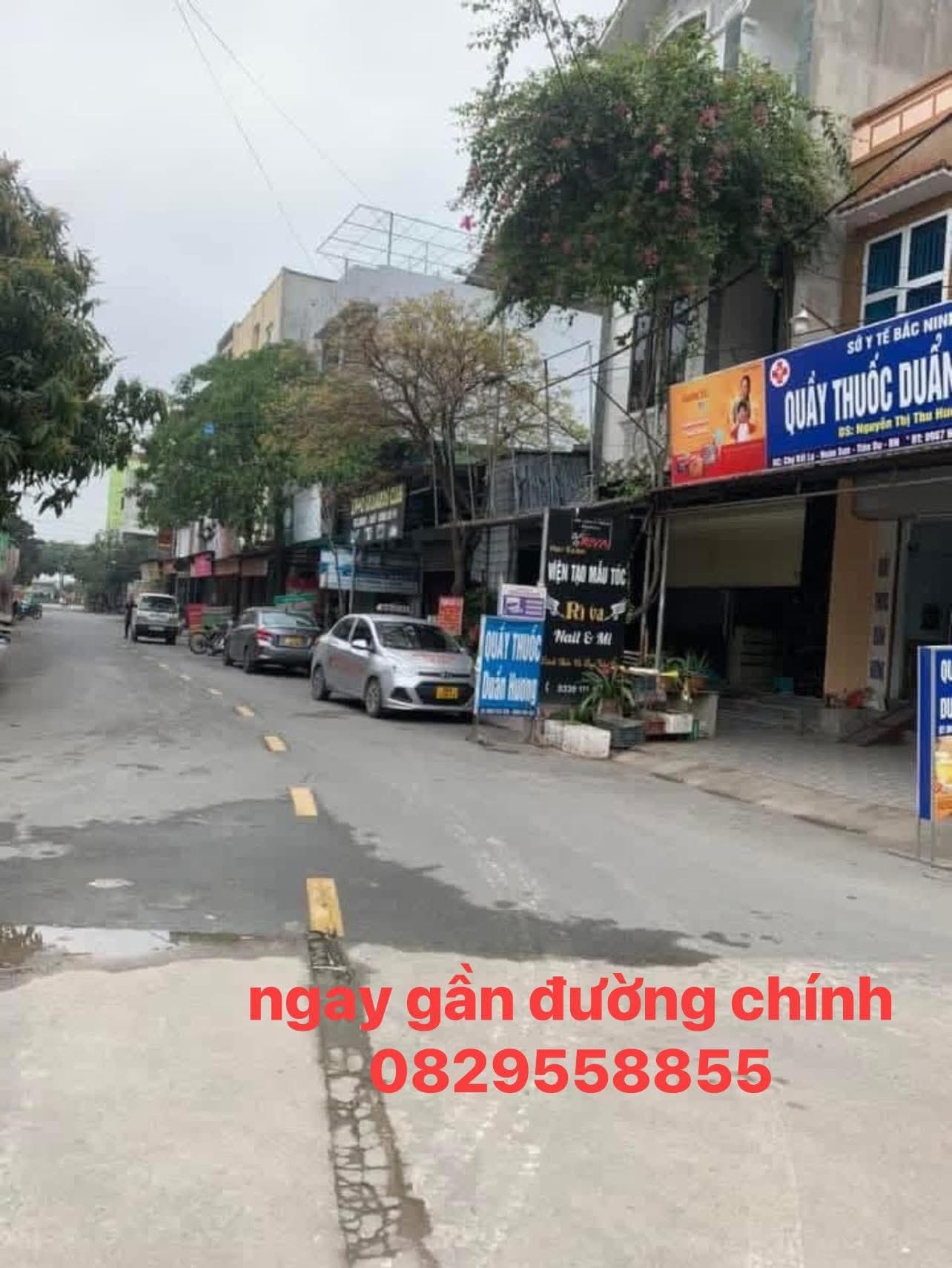 Bán đất X. Hoàn Sơn, H. Tiên Du, T. Bắc Ninh - Ảnh 2