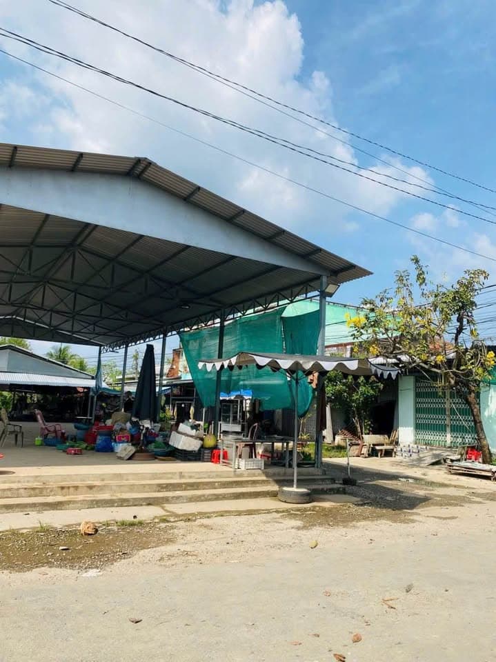 Bán đất X. Phú Đức, H. Châu Thành, T. Bến Tre - Ảnh 3