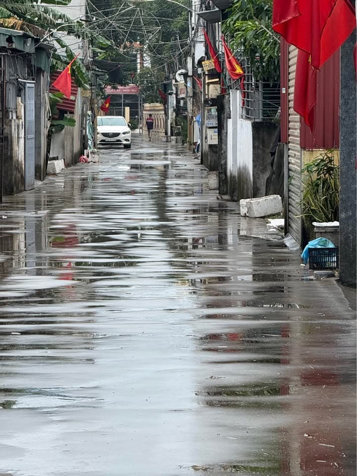 Bán đất P. Tân Hưng, Tp. Hải Dương, T. Hải Dương - Ảnh 2