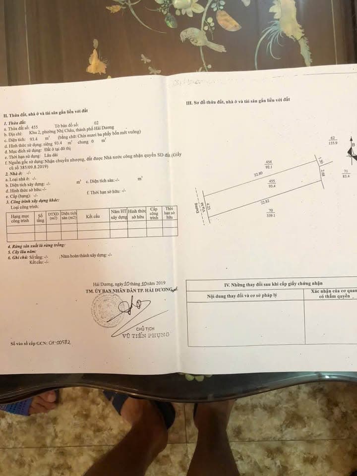 Bán đất P. Tân Hưng, Tp. Hải Dương, T. Hải Dương - Ảnh 3