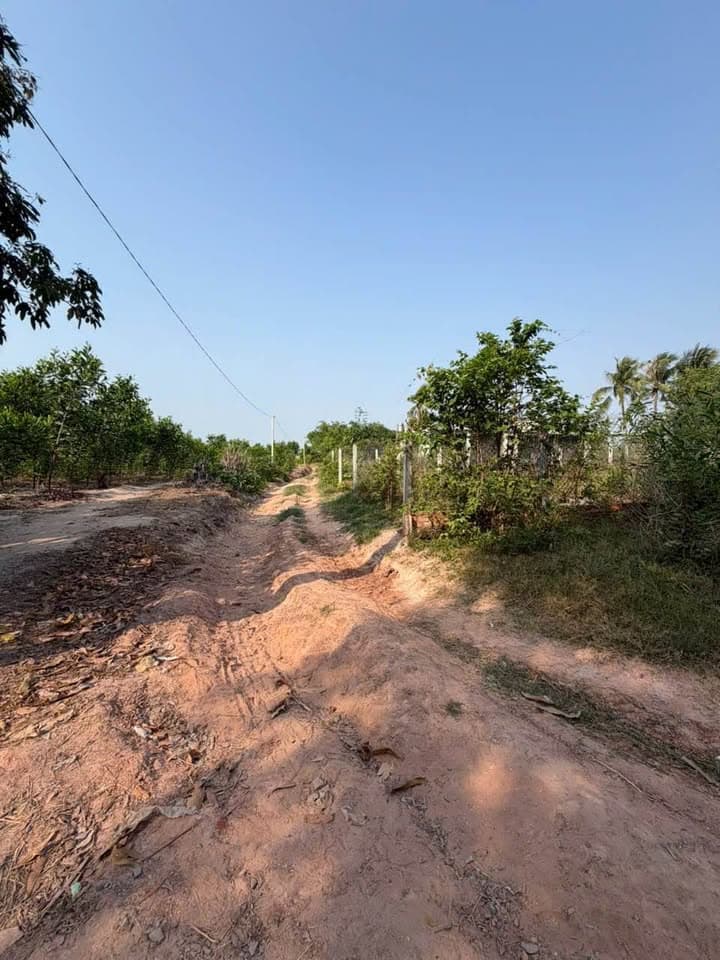 Bán đất X. Hảo Đước, H. Châu Thành, T. Tây Ninh - Ảnh 3