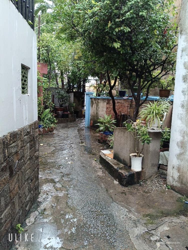 Nhà giá rẻ Quận 10 Hoà Hảo ngang 4,2m dài 12m trệt lững lầu BTCT - Ảnh 2